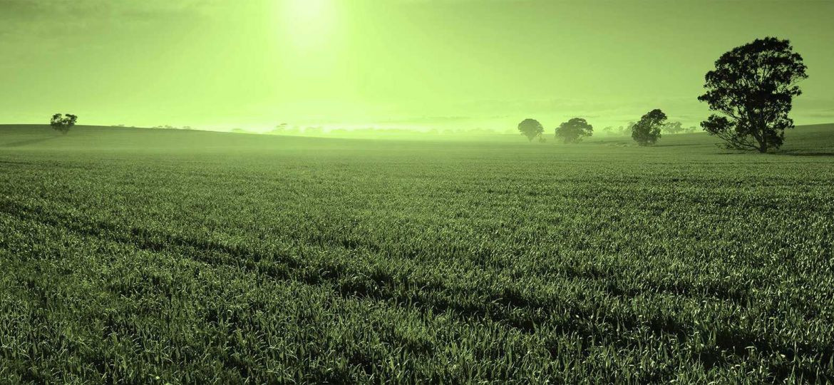 Ag_Depositphotos_18865199_xl-2015-Copy-Copy