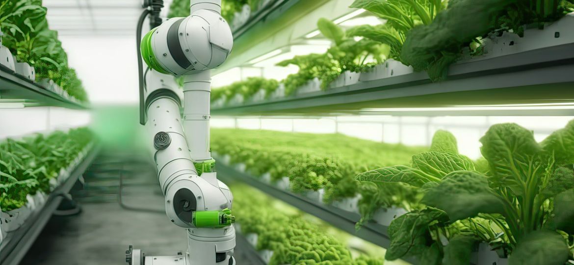 Robotic Arm Harvests Lettuce in Vertical Hydroponic System with Automated Farming Technology. Photo AI