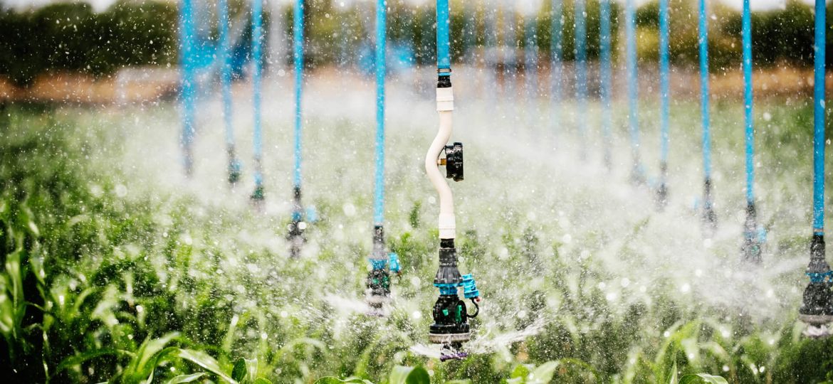 23-12-ALH-Blog-We-are-growing-plant-health-solutions-hdr