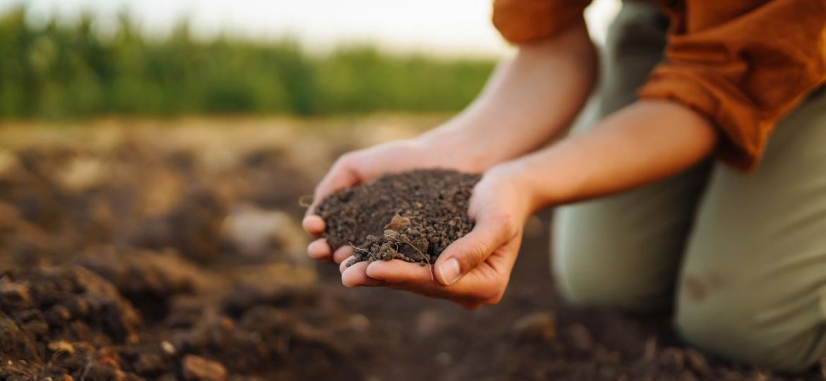 fertilizer-image